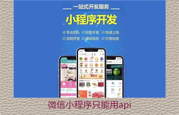 微信小程序只能用api2.jpg