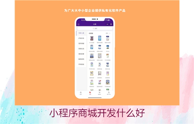 小程序商城开发什么好2.jpg