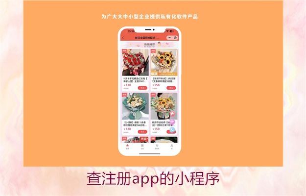 查注册app的小程序2.jpg