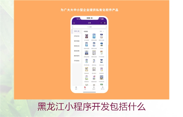黑龙江小程序开发包括什么2.jpg