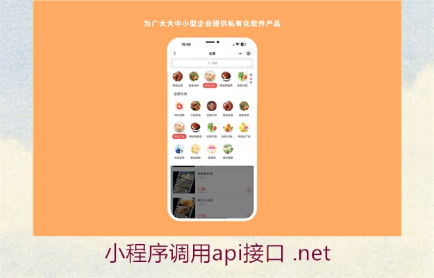 小程序调用api接口 .net2.jpg