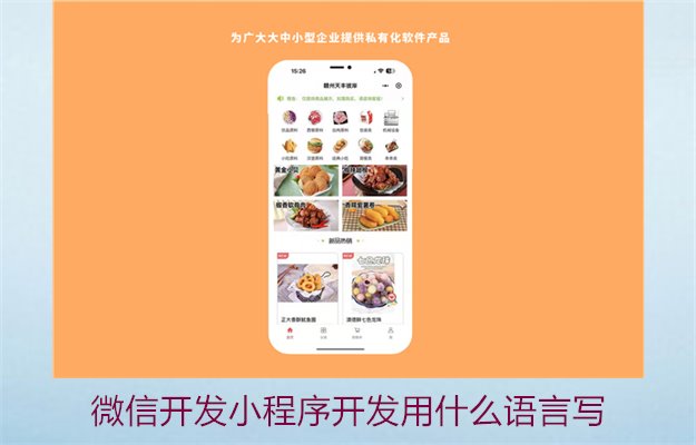 微信开发小程序开发用什么语言写2.jpg